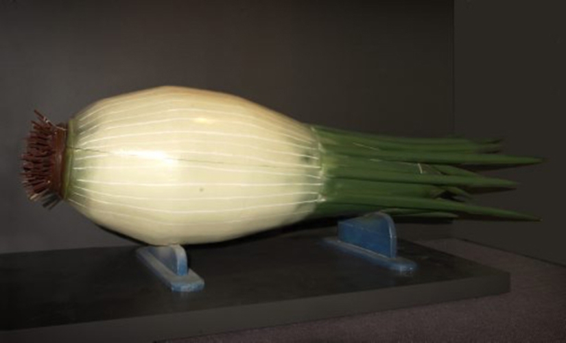 Well, very creative coffins from Ghana