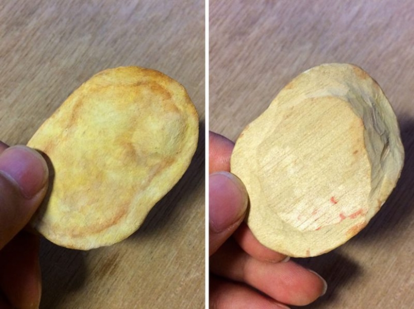 What are these products made of? You won't believe it!