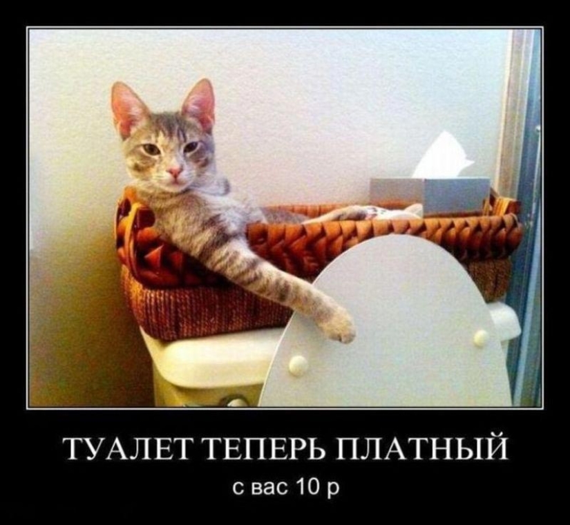 What can you currently buy for $ 1 in different countries of the world