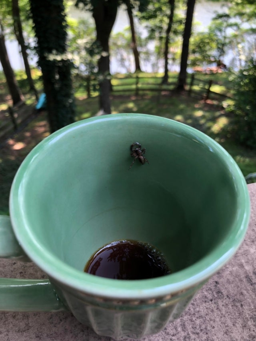 What do you know about beauty? One-legged girl got into the final of "Miss Italy" What do you know about beauty? One-legged girl got into the final of "Miss Italy"