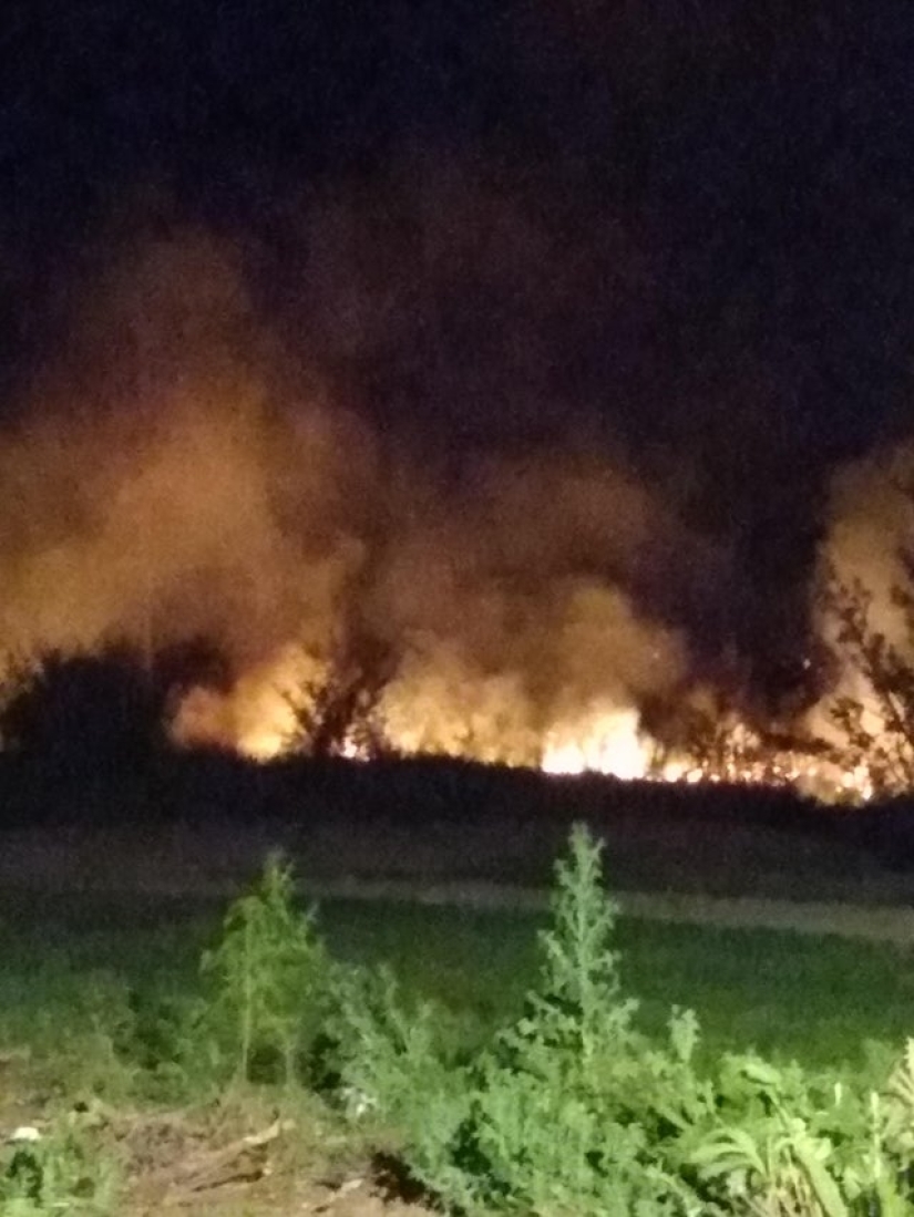 What do you know about beauty? One-legged girl got into the final of "Miss Italy" What do you know about beauty? One-legged girl got into the final of "Miss Italy"