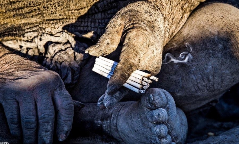 What does a person who has not washed for 60 years look like