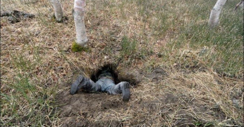 What does a real bear den look like from the inside