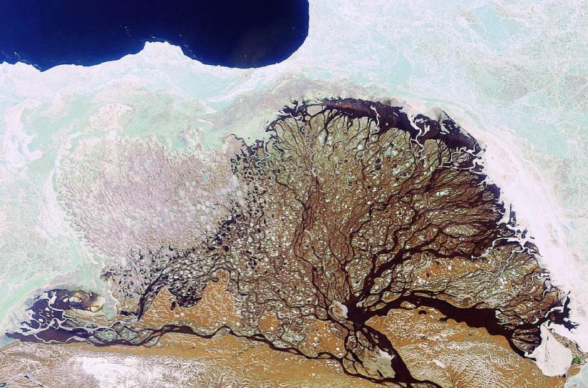 What does Russia look like from space?