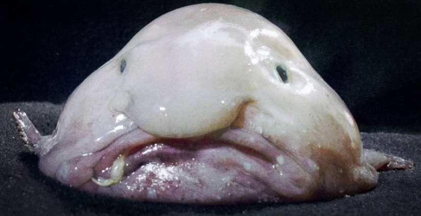 What does the real anti-mi-mi-mi look like