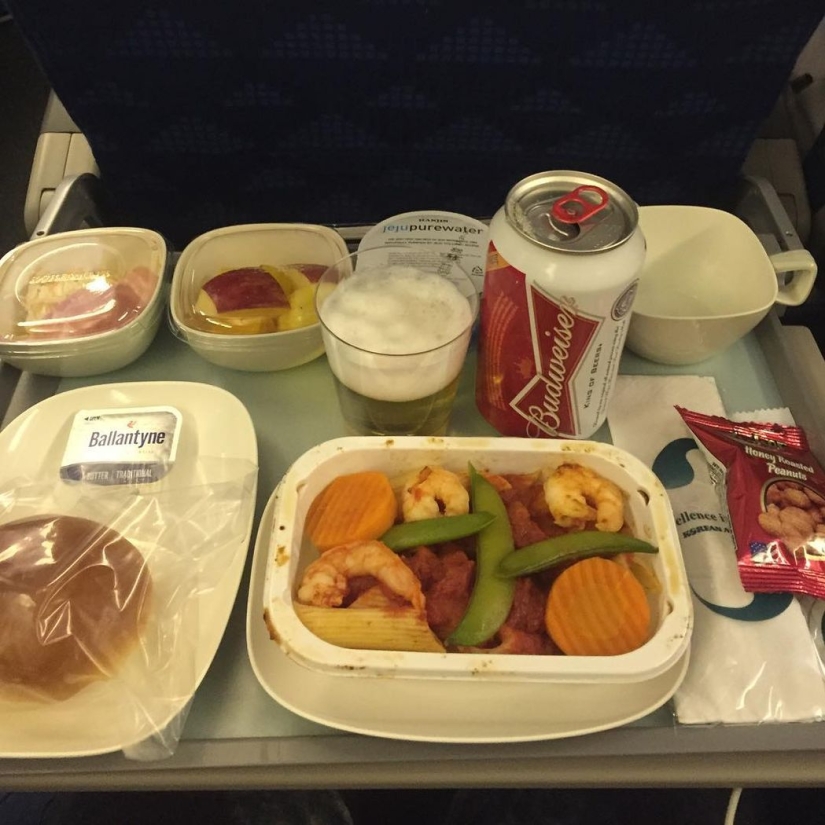What food looks like on board an airplane in 15 airlines