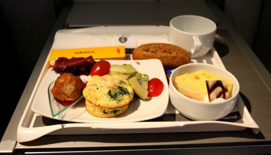What food looks like on board an airplane in 15 airlines What food looks like on board an airplane in 15 airlines