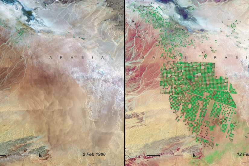 What have we done with the Earth