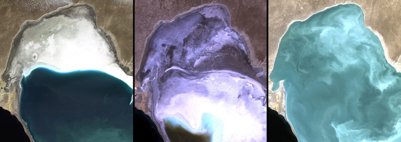 What have we done with the Earth