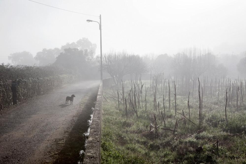 What is there - in the very center of Europe?.. What is there - in the very center of Europe?..