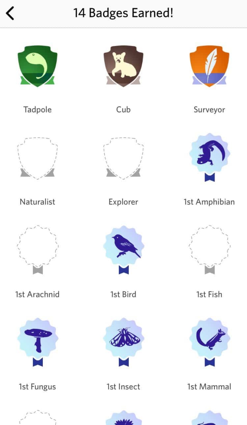 What kind of Pokemon is this: Shazam for animals, plants and birds has appeared What kind of Pokemon is this: Shazam for animals, plants and birds has appeared