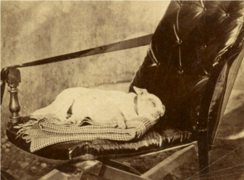 What secret do Victorian Era photographs keep