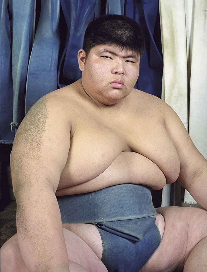 What sumo wrestlers look like in childhood and youth What sumo wrestlers look like in childhood and youth