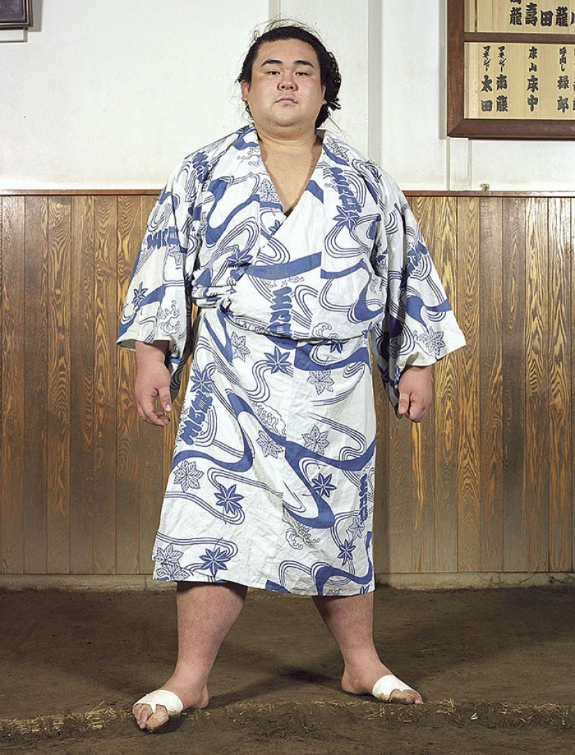 What sumo wrestlers look like in childhood and youth What sumo wrestlers look like in childhood and youth