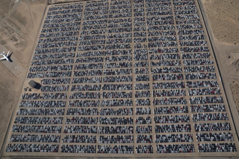 What the largest Volkswagen cemetery in the USA looks like What the largest Volkswagen cemetery in the USA looks like