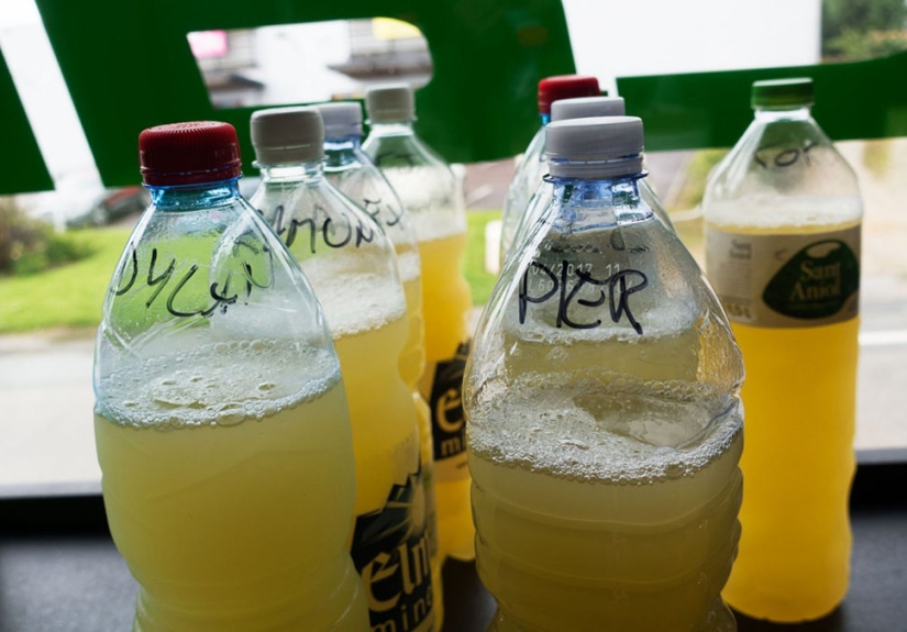 What Tour de France champions eat and drink right after the race