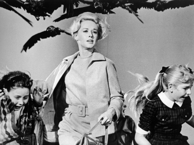 When classic Horror comes to life: the inexplicable invasion of black birds in Texas