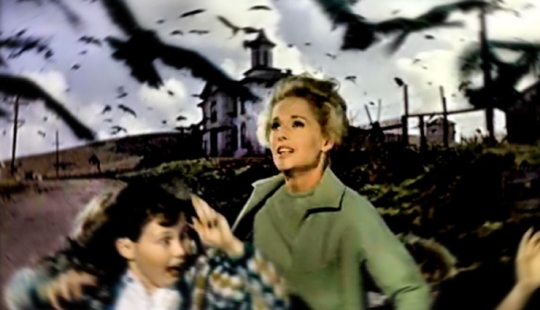 When classic Horror comes to life: the inexplicable invasion of black birds in Texas