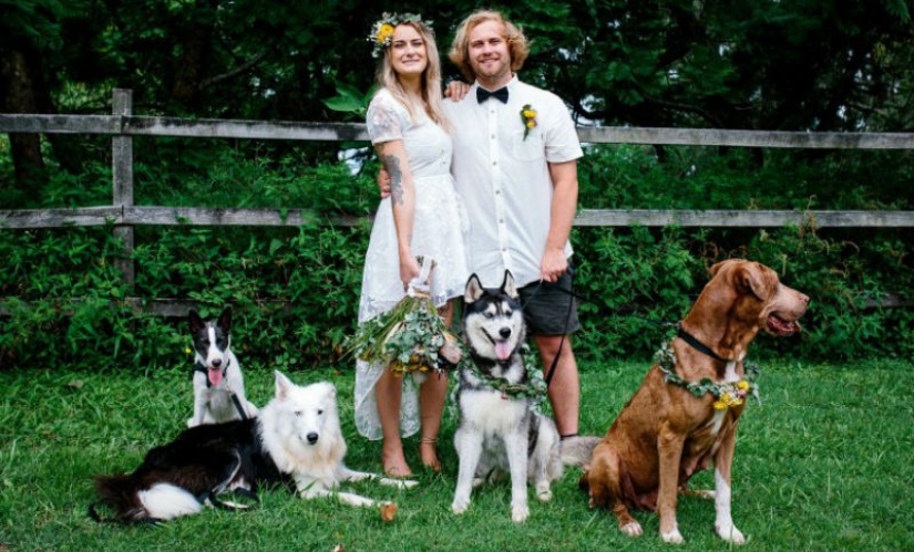 When the operator has paws: the couple instructed their dog to shoot the wedding