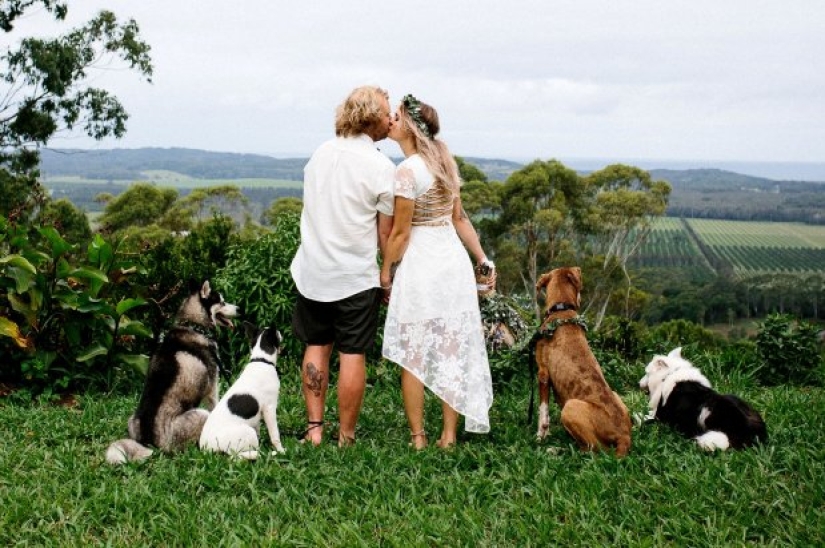 When the operator has paws: the couple instructed their dog to shoot the wedding