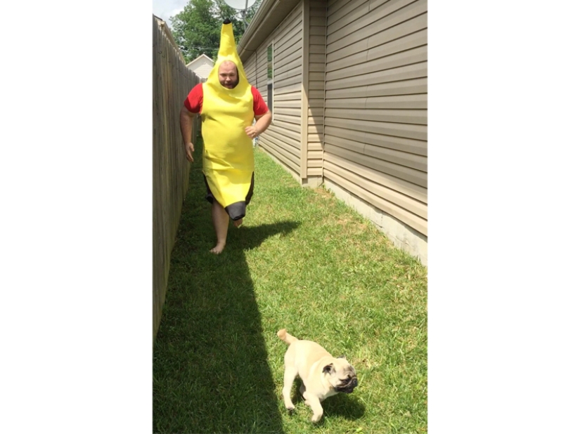 When you are already over 40, but in your heart you are still a child: 30 photos When you are already over 40, but in your heart you are still a child: 30 photos