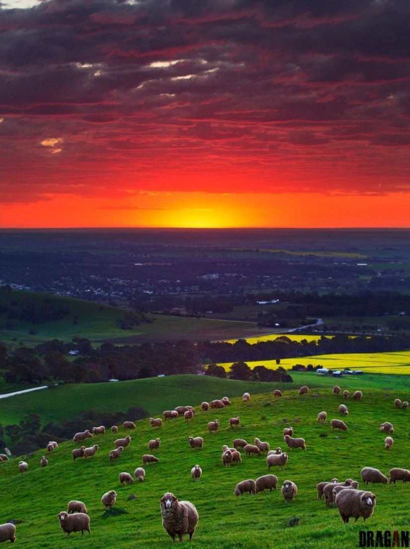 When you really want to go to Baikal