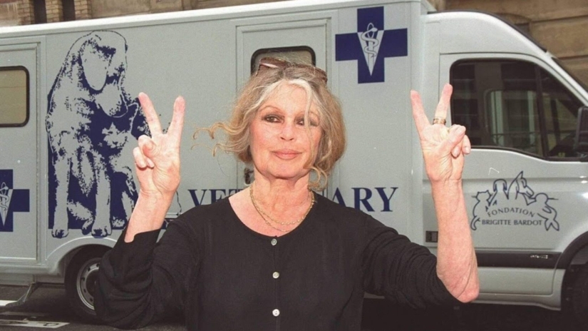 Where Is The Great Brigitte Bardot Today