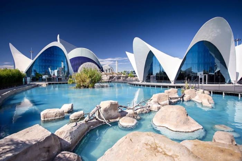 Where to go for winter holidays: the best cities in Europe for families with children Where to go for winter holidays: the best cities in Europe for families with children