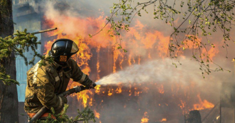 Why are forests burning? Experts named the reason for the deterioration of the fire situation on the planet Why are forests burning? Experts named the reason for the deterioration of the fire situation on the planet