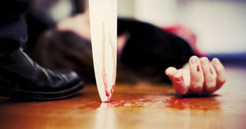 Why did the author of the LinguaLeo application stab his own sister with a knife