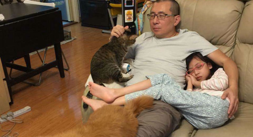 Why do father, daughter, dog and cat take the same photo every year for a decade