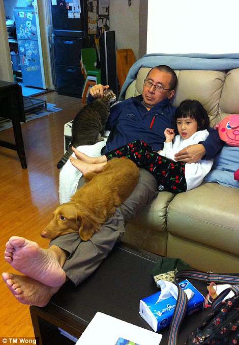 Why do father, daughter, dog and cat take the same photo every year for a decade