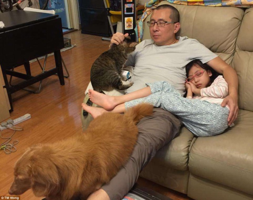 Why do father, daughter, dog and cat take the same photo every year for a decade
