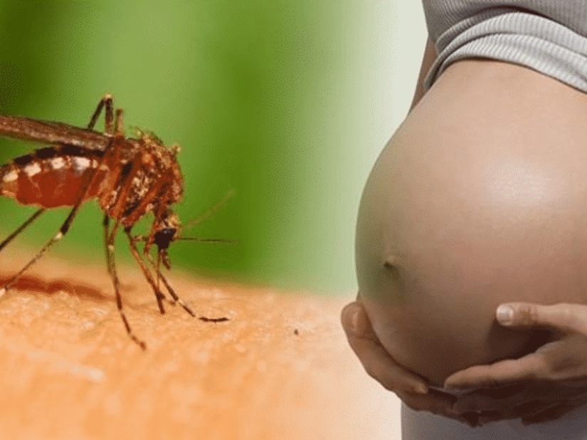 Why do mosquitoes choose you? 10 Victim Selection Factors
