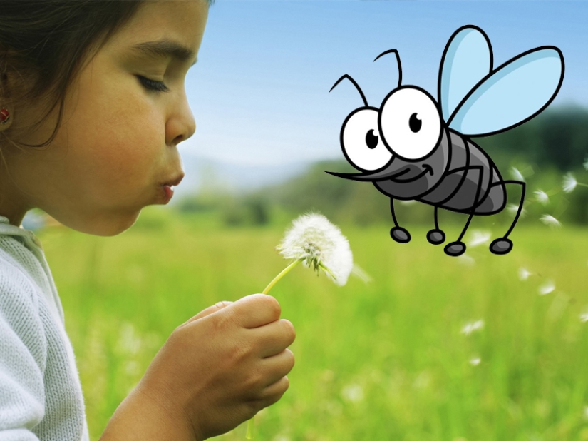 Why do mosquitoes choose you? 10 Victim Selection Factors