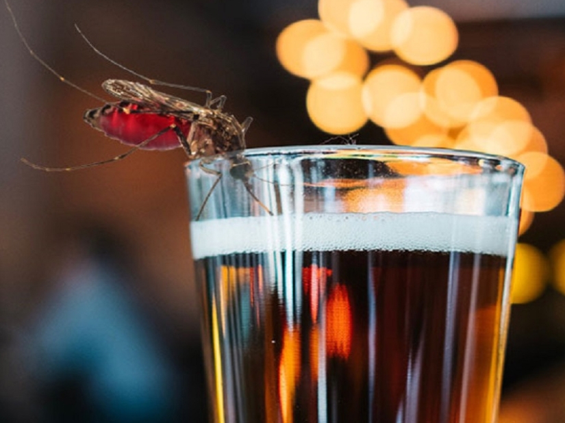 Why do mosquitoes choose you? 10 Victim Selection Factors