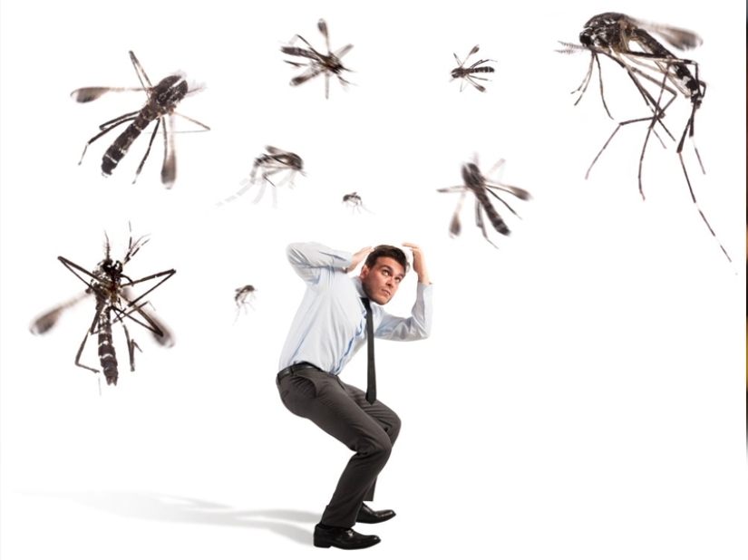 Why do mosquitoes choose you? 10 Victim Selection Factors