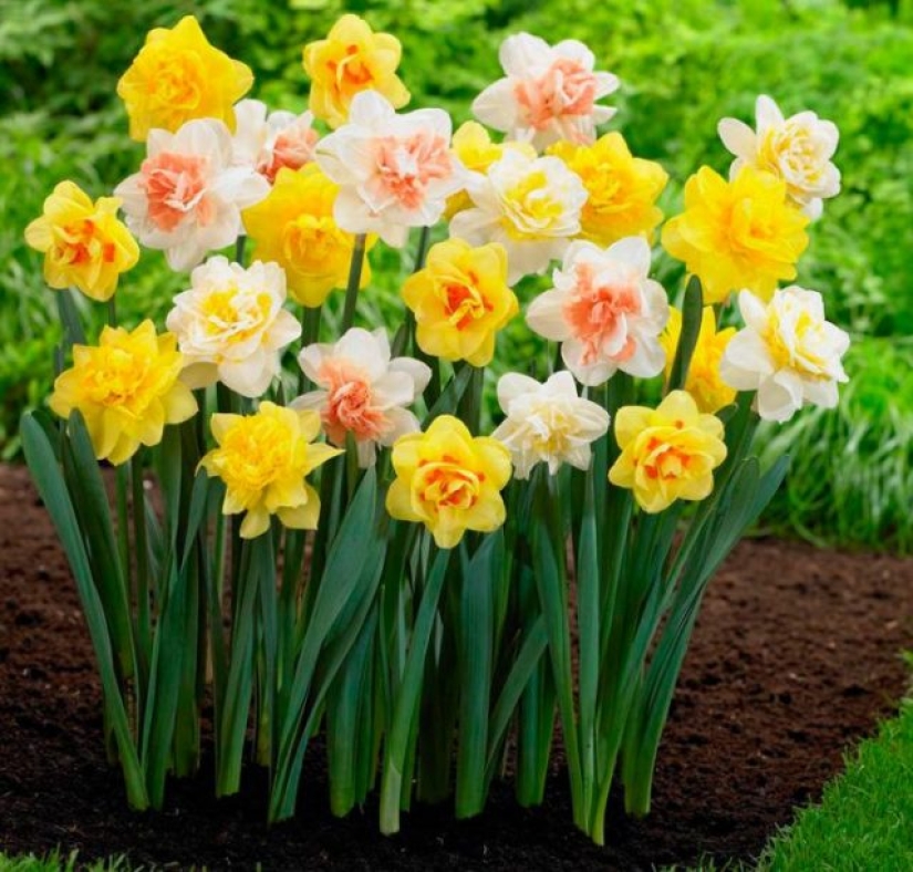 Why doesn't anyone ask men what their favorite flowers are? Why doesn't anyone ask men what their favorite flowers are?