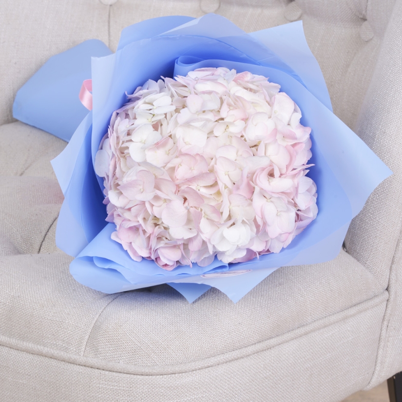 Why doesn't anyone ask men what their favorite flowers are? Why doesn't anyone ask men what their favorite flowers are?