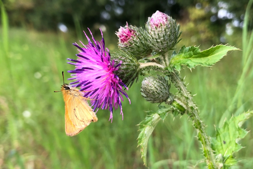 Why doesn't anyone ask men what their favorite flowers are? Why doesn't anyone ask men what their favorite flowers are?
