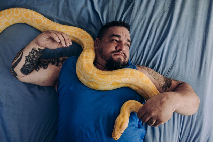 Why Finns are drawn to having domestic moose Why Finns are drawn to having domestic moose