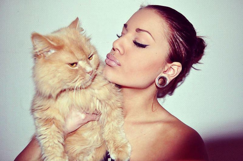 Why hedgehogs are better than cats Why hedgehogs are better than cats