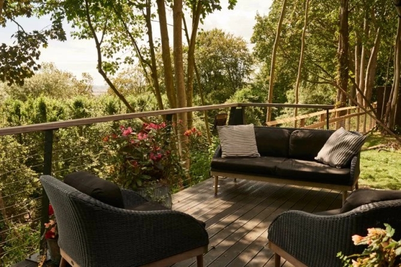 Wild night: a stunning hotel has opened in Kent, where you can relax next door to the lions