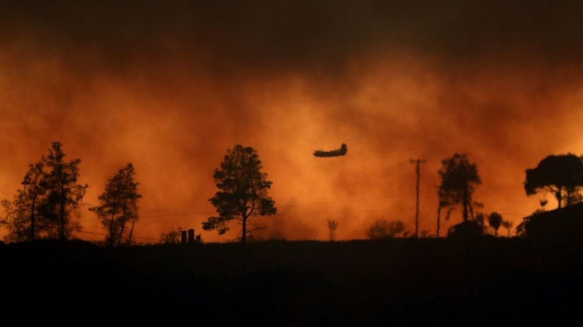 Wildfires in California: the city of Paradise burned down, Malibu evacuated