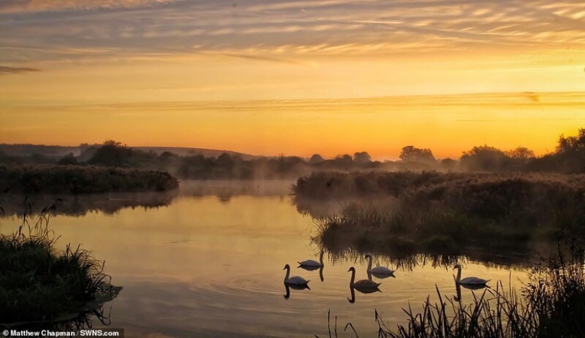 Winners of the Essex Wildlife Photography Contest