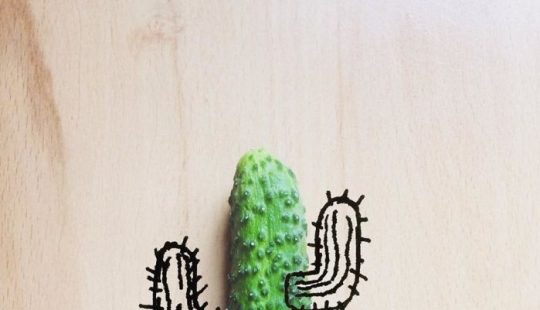 Witty illustrations from everyday objects