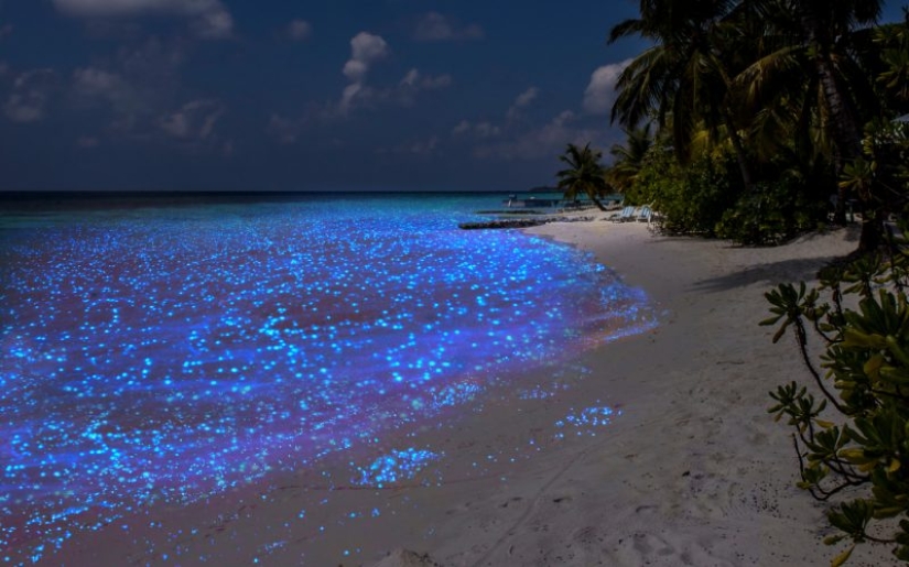 Wonders of nature... the most unusual natural phenomena in the world! Wonders of nature... the most unusual natural phenomena in the world!