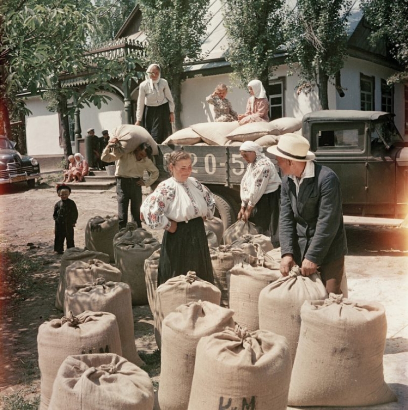 Working life: unknown color photos of everyday life in the USSR 1950s