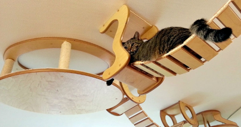 Y tú juegas, juegas, juegas, juegas: parques infantiles para gatos