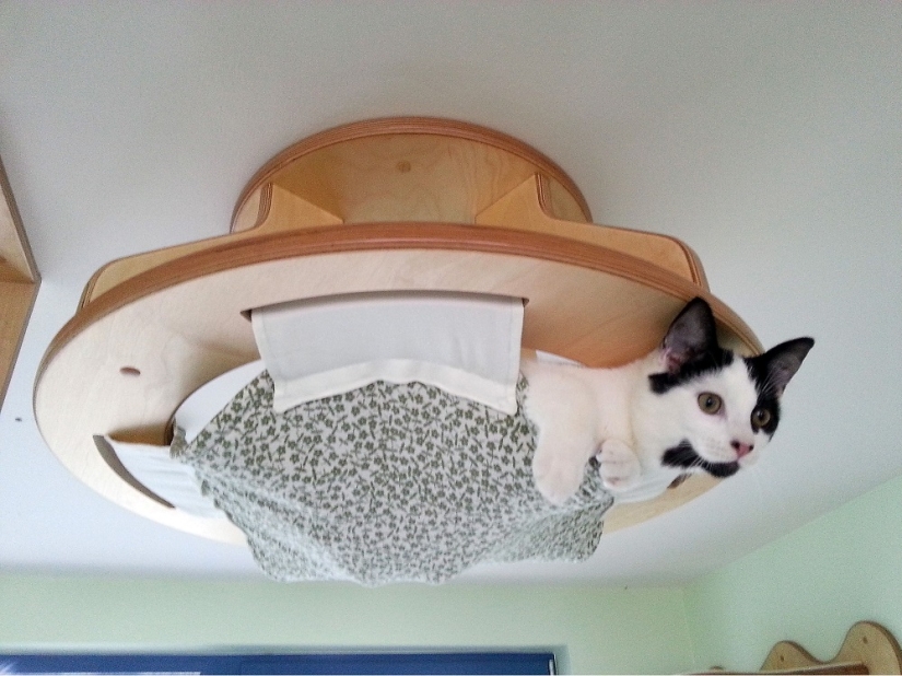 Y tú juegas, juegas, juegas, juegas: parques infantiles para gatos